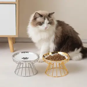 Elevated Cat Bowl with Iron Stand – Ceramic Water & Food Feeding Station for Cats and Small Dogs (Silver/Gold)