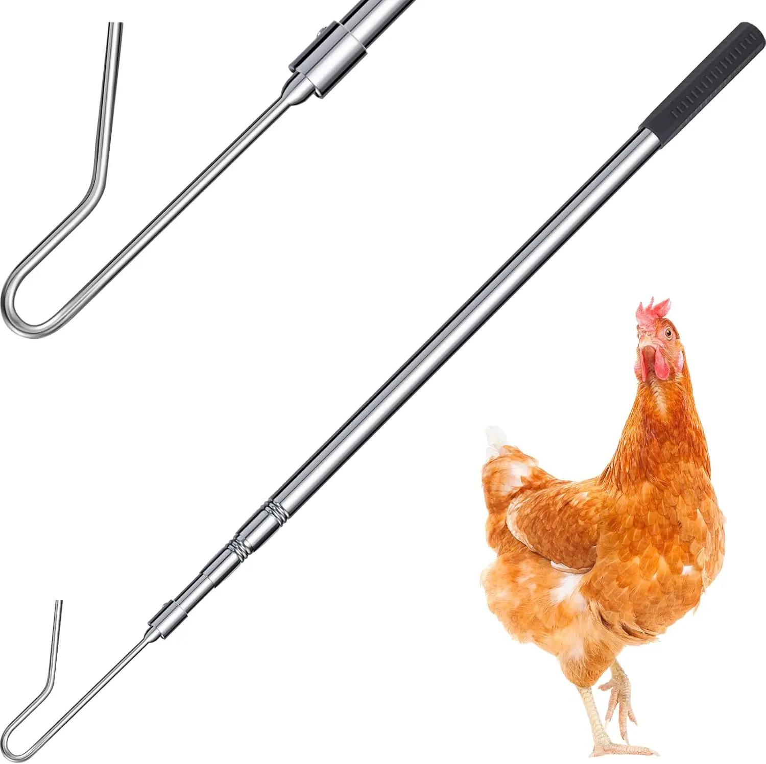 Fabbay Stainless Steel Collapsible Chicken Catcher Leg Hook, 1 Piece Retractable Pole (63 Cm/ 24 Inches to 150 cm/59.09 inches), Farm Coop Accessory for Poultry, Goose, Sheep, Goat