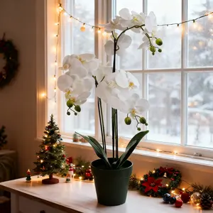 Real Touch White&Pink Phalaenopsis Artificial Flowers 24" Ultra Realistic Faux Potted Orchids for Home Office Desk & Hotel Displays Maintenance-Free Decor