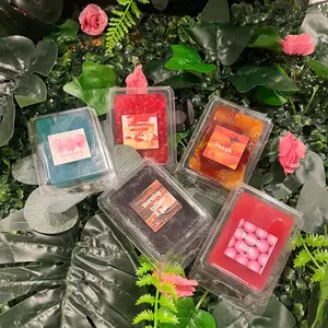 Scented Jelly wax melts handmade candle making