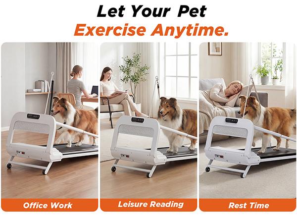 Dog Treadmill, 2-in-1 Pet Treadmill for Dogs, 2.5HP Quiet Motor Dog Running Machine with Remote, Indoor Dog Exercise Wheel for Small Medium Large Dogs, Dog Fitness Equipment for Home Use