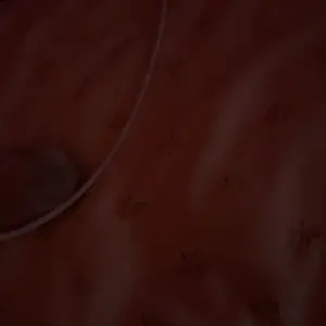 2-Pack 20W PD USB-C to Lightning Fast Charger & 6FT Cable Set For iPhone 14/13/12/11/XR/XS Max/8/7/6/5 iPad & AirPods