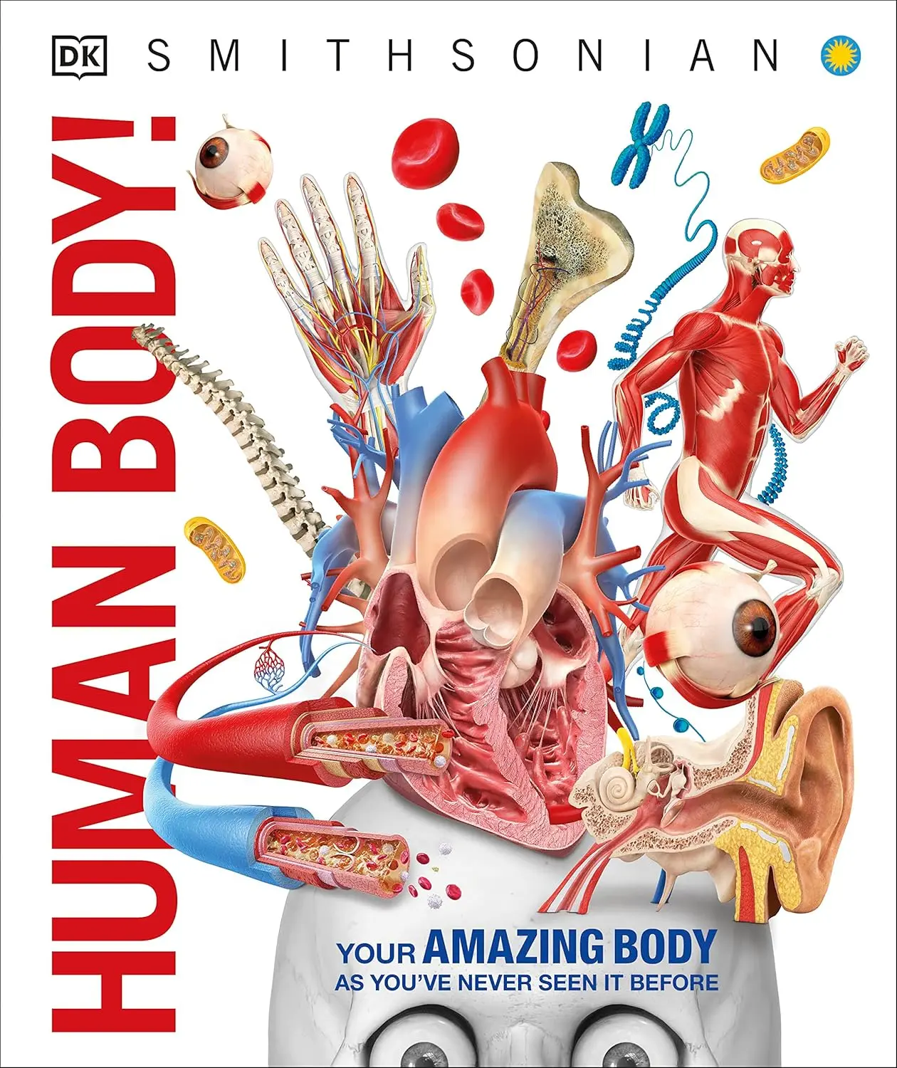 DK Knowledge Encyclopedia: Human Body - Hardcover Children's Science Book, 208 Pages, CGI Imagery, Cutaways, Fact-Checked, Detailed Cross-Sections, Systems Coverage, Milestones Highlighted, Gift for Young Readers, English, Dk Authorship, Digestive, Dk Chi