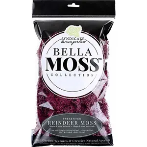 Bella Moss Preserved Reindeer Moss, Sangria, 80 cu in.