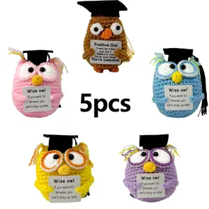 5pcs Crochet Owl  Easter Basket Stuffers Gifts for Teens Daughter Son, Easter Basket Essentials Birthday Teacher Appreciation Mothers Day Graduation Emotional Inspirational Support Gifts for Friend Mom Coworkers