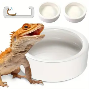Reptile Food Dish Bowl, 2pcs Worm Water Dish, Small Lizard Gecko Ceramic Pet Bowl, Mealworms Bowls for Bearded Dragon Chameleon Hermit Crab Cricket