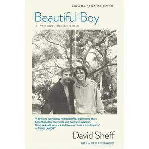 Beautiful Boy (tie-In): A Father's Journey Through His Son's Addiction by David Sheff [Paperback Book]