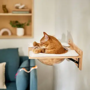Acrylic Bowl Wall Mounted Cat Wall Shelf, 18.1 x 15.8 x 5.9 inches Decor Decorative cattree