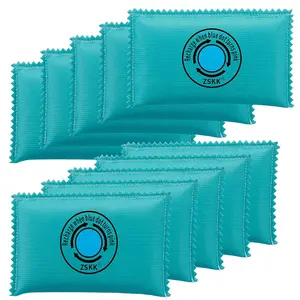 100g Rechargeable Desiccant Pack of 10,Silica Gel Desiccant Packets,Moisture Absorbers for Storage Bins, Suitcase, Gun Safe, 3D Filaments, Electronics,Desiccant Dehumidifier for Closets,Cars