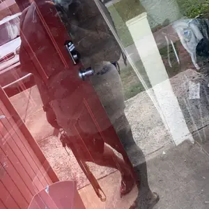 Product Review of TIANFUC Women's Seamless Shapewear Bodysuit, Tummy Control Thong Panties, Casual Y-Type Underwear, All-Season Comfortable Fit from N**h L**e