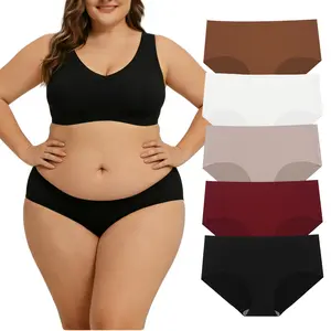 5-Pack Women’s Briefs, Sizes L–2XL | Multiple Colors, Soft & Comfortable Full-Coverage Design | Breathable Stretchy Fabric, Everyday Wear Friendly for All-Day Comfort