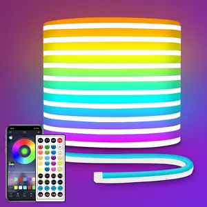RGB LED neon Rope Lights LED neon Lights with Remote/APP Control 24V IP65 Waterproof Flexible Neon LED Strip Lights for Bedroom Room Outdoors Decor