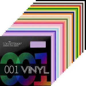 Teckwrap TWC001M 21 Vinyl Sheets Pack