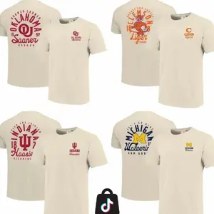 [Sale off 50%] Custom University Graphic Mascot Overlay All Team Sand 2 Side T-Shirt, Vintage College Graphic Tee, Sport Fan Gift Shirt 9EL