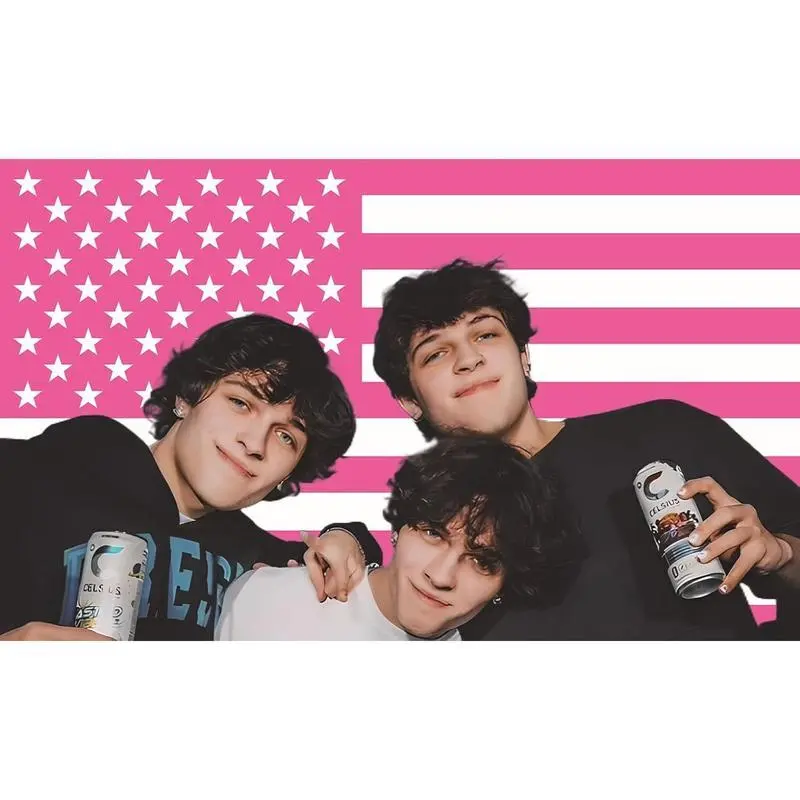 MAGJIUKE Sturniolo American Triplets Flag Wall Tapestry - Smooth Photo Print Blush Pink Chris,Matt,Nick Sturniolo USA Indoor Wall Decoration for Bedroom,Living Room, Wall Tapestries