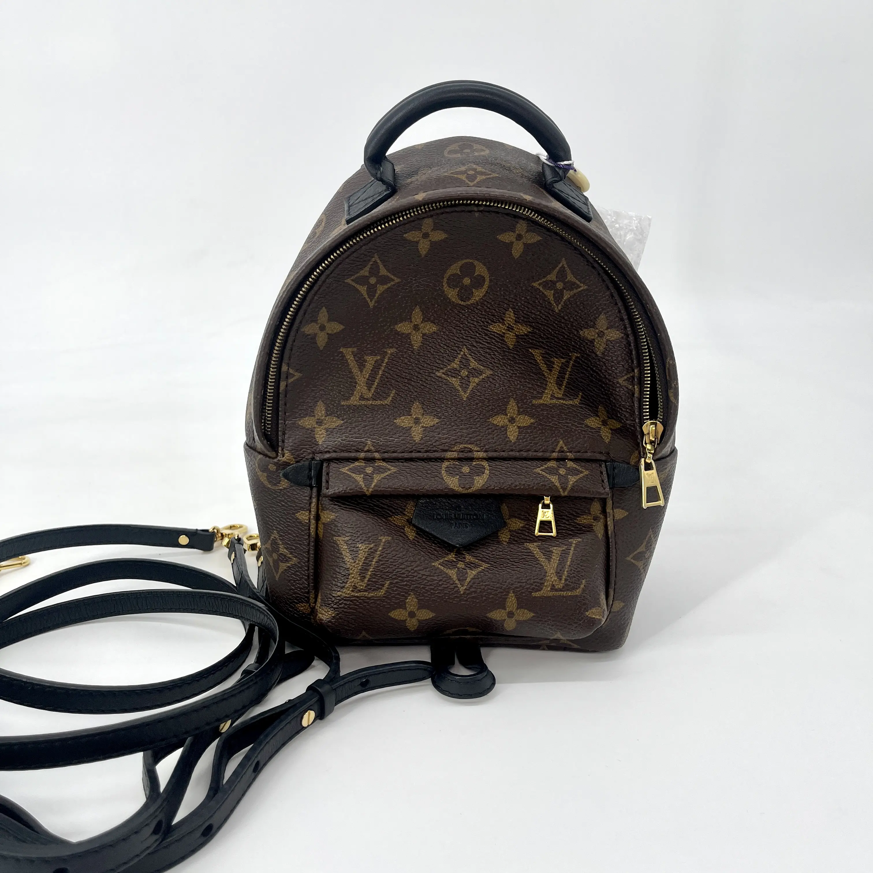 Pre-owned Louis Vuitton Monogram Backpacks LV Palm Springs Backpack Mini