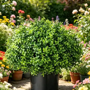 Artificial Boxwood Topiary Tree, UV Protected Fake Greenery Plant, Outdoor Faux Shrubs with Plastic Pot, Home Garden Decoration, Decorative Fake Tree, Farmhouse