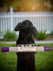 Picket Protector Elite Harness COMFORT Bundle