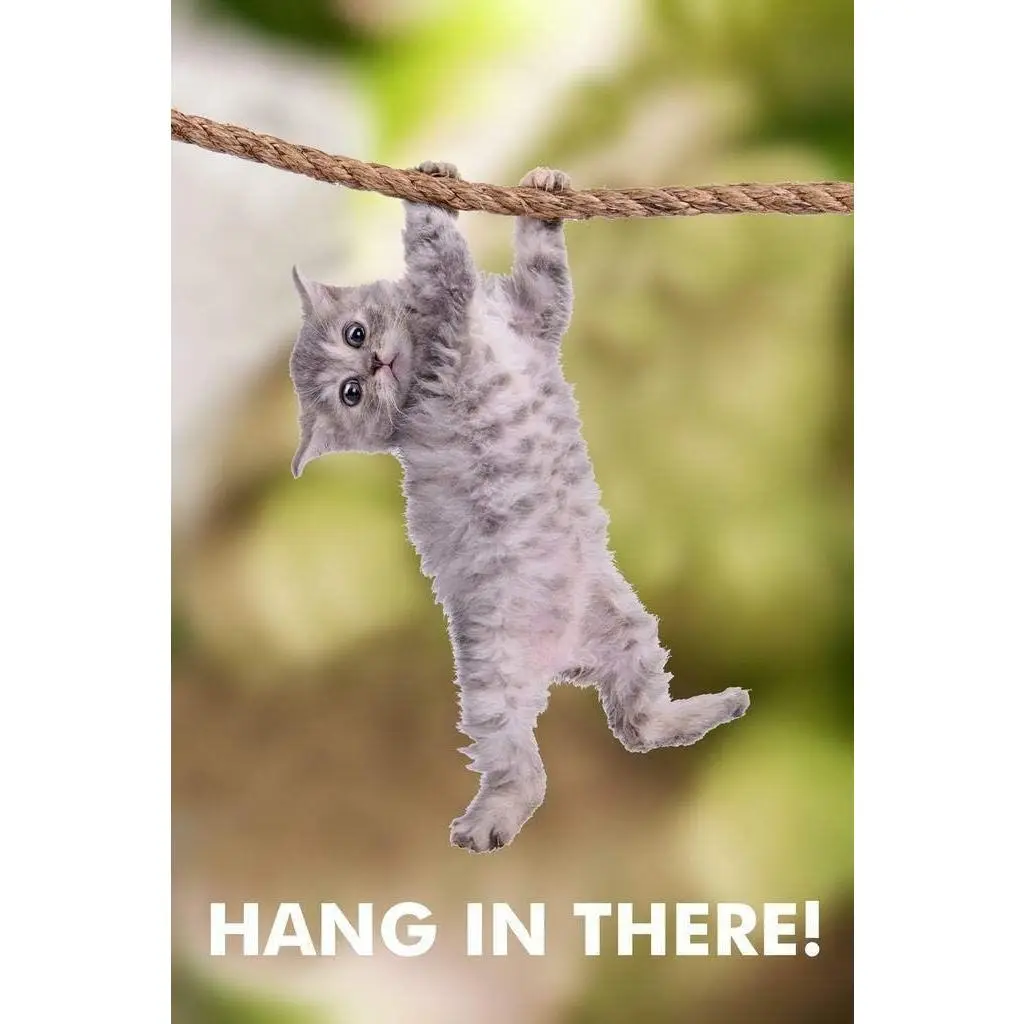 Cat Hang In There! Cat Retro Metal Sign Poster 12X8 Inch