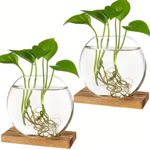 2 PCS Modern Round Glass Planter with Wooden Stand for Propagation Hydroponic Plants Home Office Decoration Modern Plant Pot