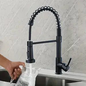 Single Handle Kitchen Faucet with Pull Down Spray Head, 360 Degree Rotating Dual Spout, Matte Finish, Stainless Steel, Durable Design, Rotatable Rotary Faucet