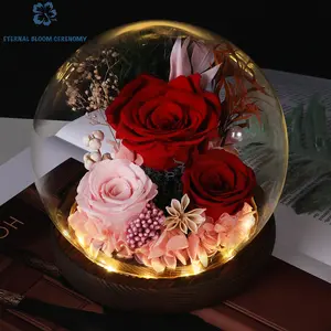 Enchanted Roses Gifts for Her - Real Rose Flowers in Glass Dome with LED Light - Perfect Gifts for Women, Mom, Grandma, Her, Girlfriend, Wife
