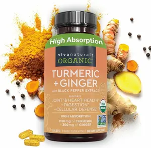 Turmeric and Ginger Supplement with Black Pepper for Better Absorption - Organic Turmeric Curcumin to Support Joint, Heart and Digestive Health, Non-GMO - 120 Tablets