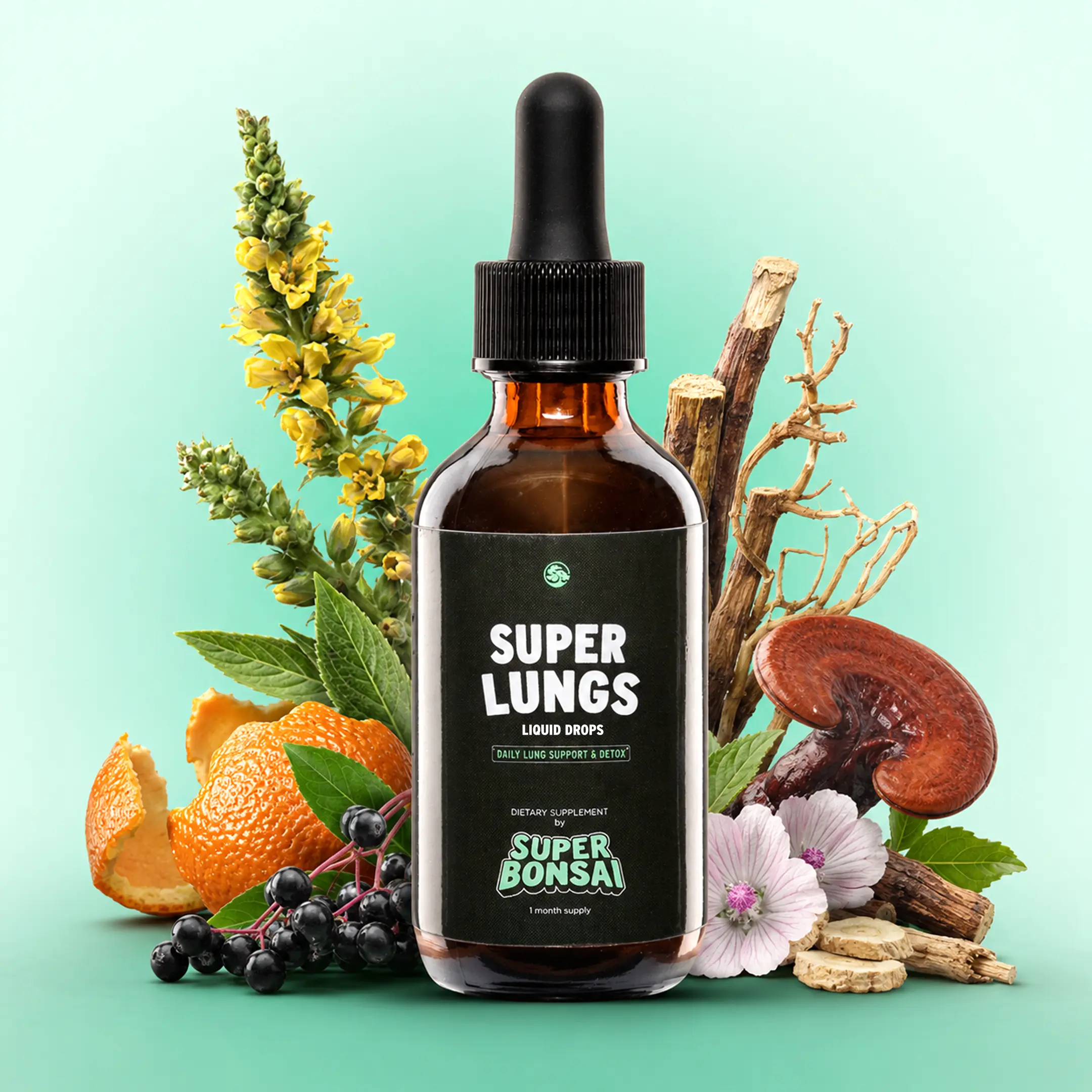 SuperBonsai Super Lungs - Natural Ingredients with Mullein and Elderberry - Daily Lungs Support and Detox / Cleanse - GMO Free, Gluten Free, Vegan