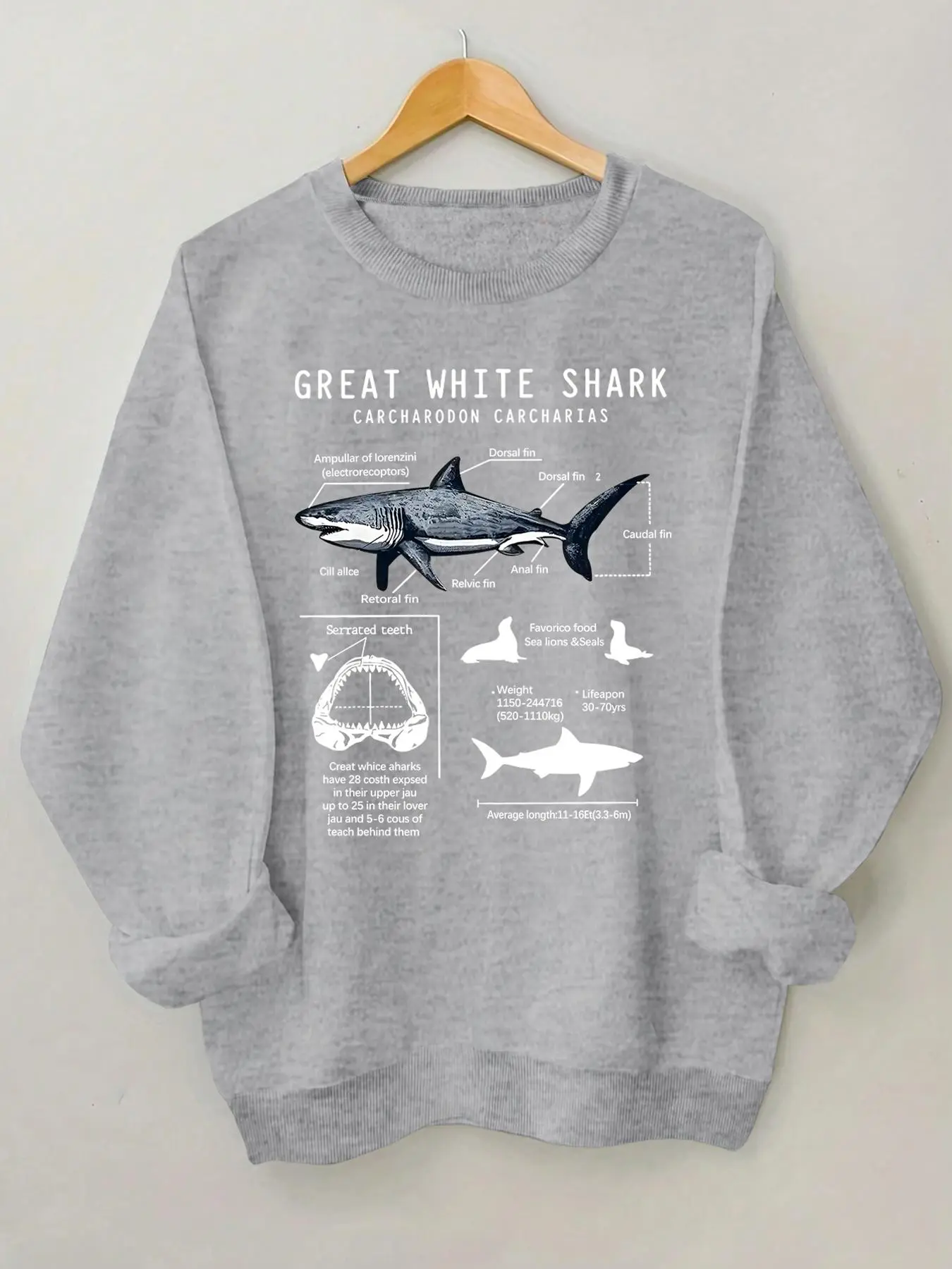 Women's Great White Shark Structure Print Drop Shoulder Sweatshirt, Casual Long Sleeve Round Neck Pullover for Fall & Winter, Ladies Clothes for Daily Wear