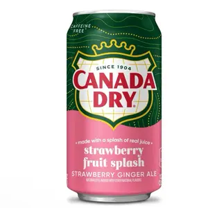Canada Dry Strawberry Fruit Splash Ginger Ale Caffeine Free - 1 Can 12 Oz Fl