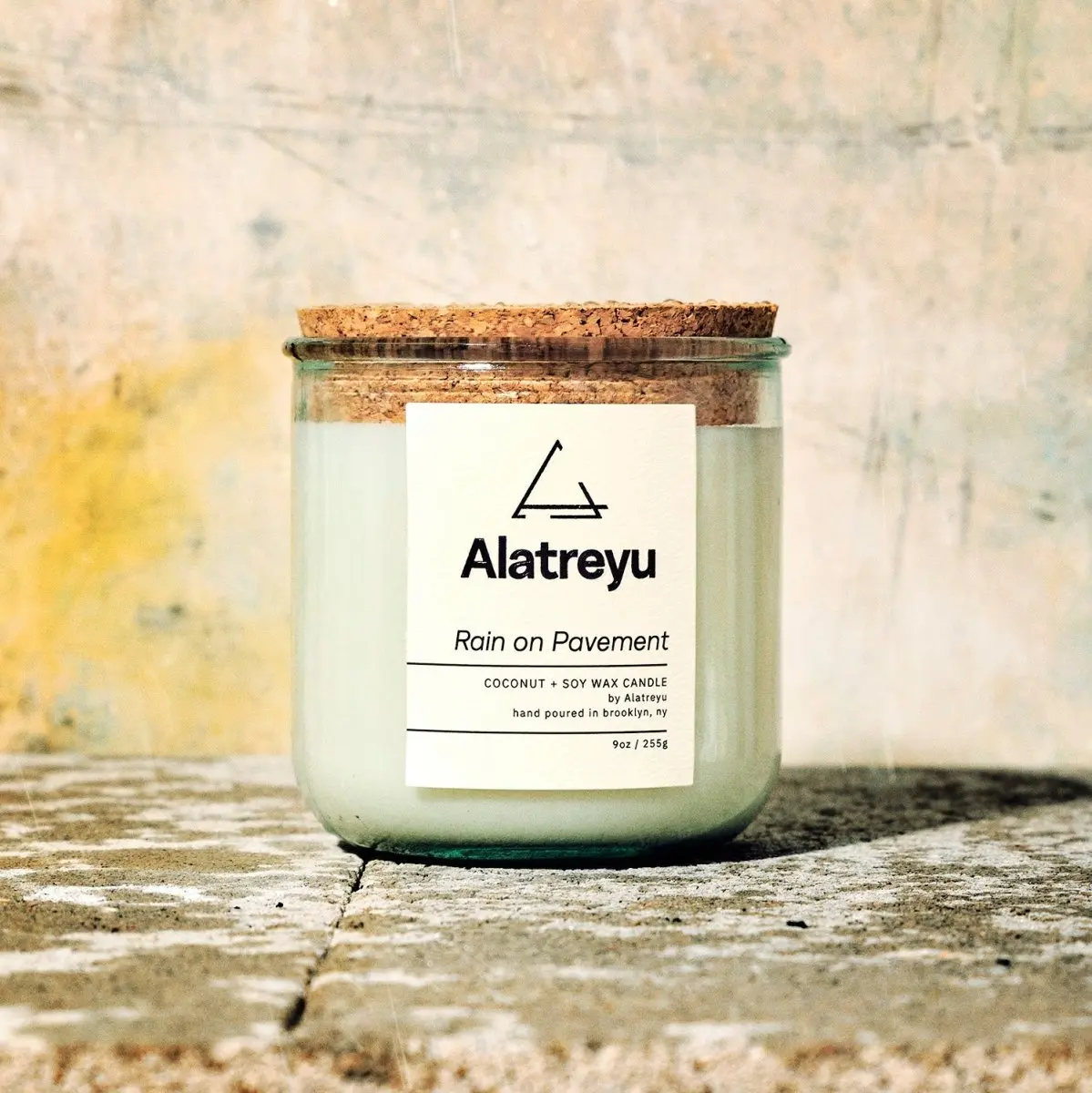 Rain on Pavement Scented Candle | Ozone · Concrete · Wet Leaves | The smell of city rain, a fresh rainy day home fragrance | Hand-Poured 100% Coconut + Soy Wax | Pay What You Can
