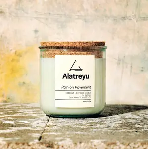 Rain on Pavement Candle | Ozone · Concrete · Wet Leaves | The smell of city rain | 100% Coconut + Soy Wax | Pay What You Can