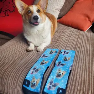 Custom Dog Photo Socks – Personalized Pet Face Print Gift