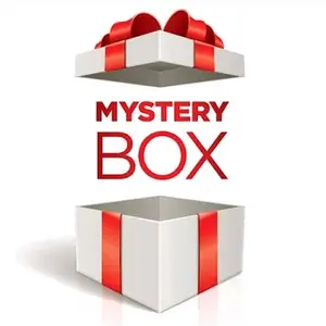 Surprise Mistery Box - Randomly Blanket, Clothes, Shoes, Kitchen, Makeup, Bag, etc. - Perfect Gift