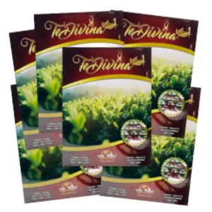 Te Divina Detox Max Tea Bags - Te Organico con Ganoderma Beverage Tea - Buy 4 Get 2 Free - Infused Formula Herbal Fruit