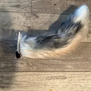 Custom Airbrushed Electric Moving Tails