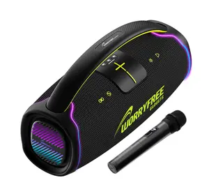 300W Portable Wireless Bluetooth Speaker with 1 Microphone Handle Rechargeable Audio