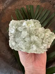 Green Apophyllite Specimen - 733 grams