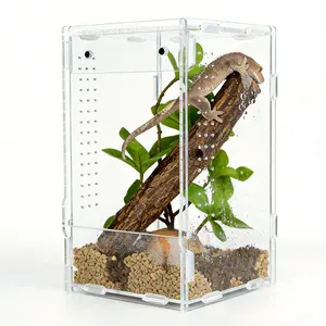 5x5x8 Reptile Tank – Acrylic Reptile Enclosure Terrarium for Crested Gecko, Lizards, Spiders & Snakes – Clear Lizard Habitat Terrarium