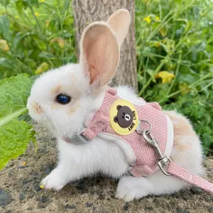 Cute Rabbit Harness & Leash Set - Soft Padded Vest for Small Pets