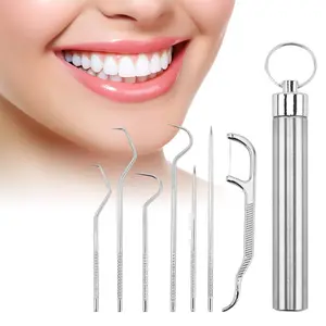 Oceantree Teeth Cleaner Stainless Steel Toothpick Pocket Set 7Counts Portable Dental Floss Pick Keychain Design Oral Care Hygiene Products Smooth Pack