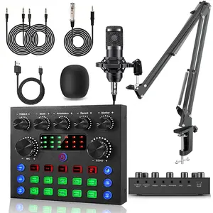 Professional Wireless Compact Live Sound Card Device, Sound Board, Bluetooth Connection, Bm-800 Microphone Set, Dj Effect Control, Audio Mixer, Network Streaming Equipment