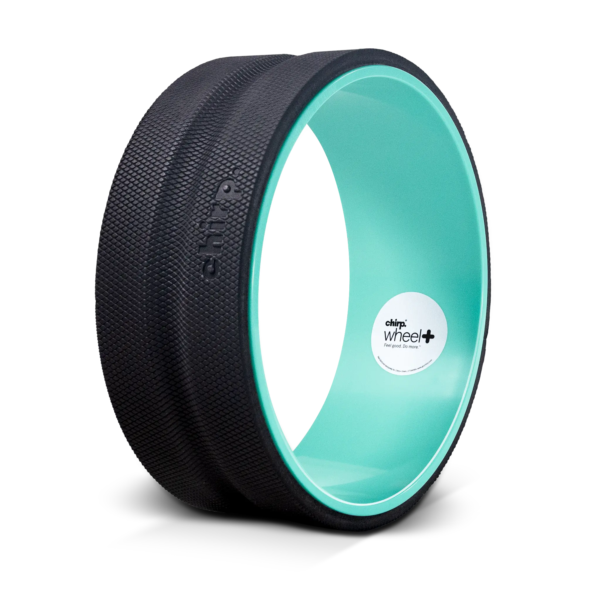 Chirp Wheel+ 12" Gentle