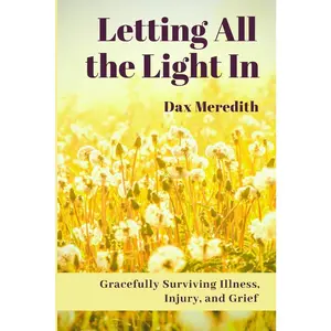 USED-Letting All the Light In: Gracefully Surviving Illness, Injury, and Grief by Meredith, Dax (Paperback)