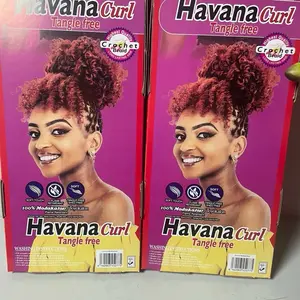 Havana curly mesh 27