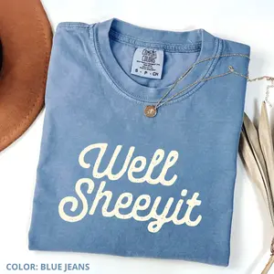 Comfort Colors Well Sheeyit T-Shirt, Funny, Vulgar, Crude Shirt, Aesthetic Tee, Women Oversized Shirts