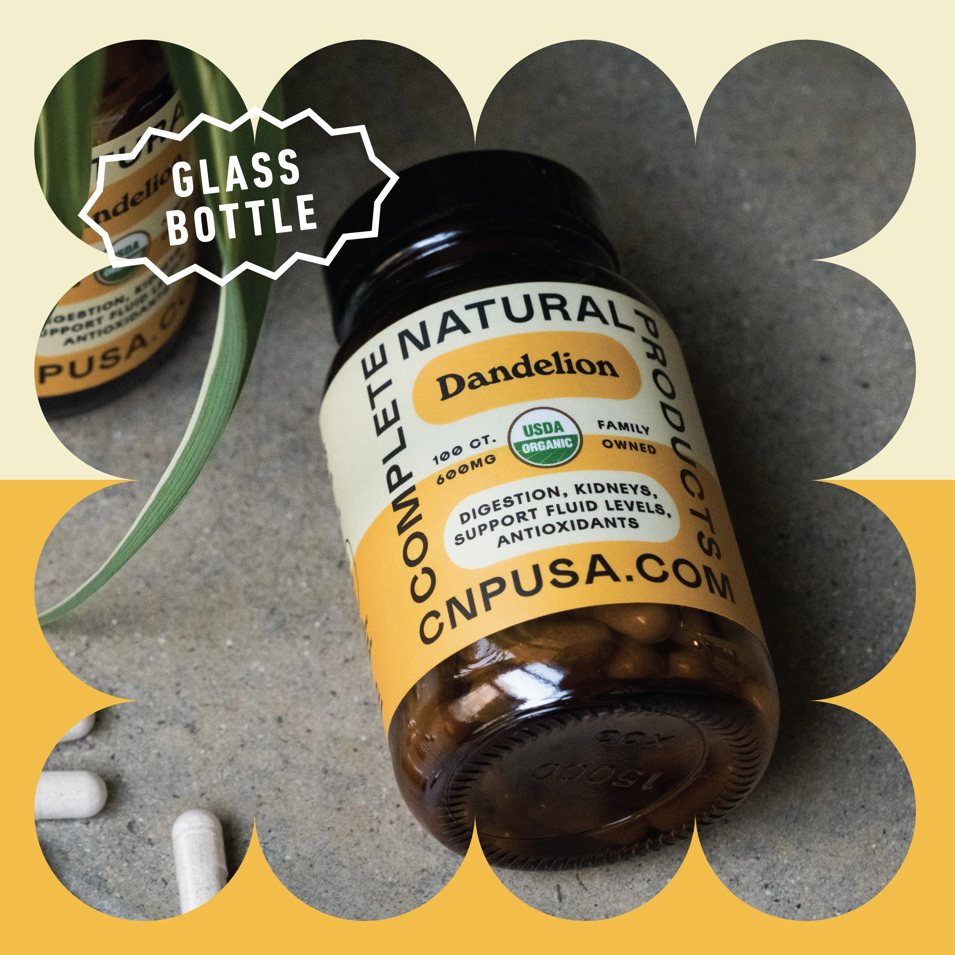 Complete Natural Products Organic Dandelion Capsules for Kidney Liver & Gallbladder Support with Essential Vitamins & Minerals