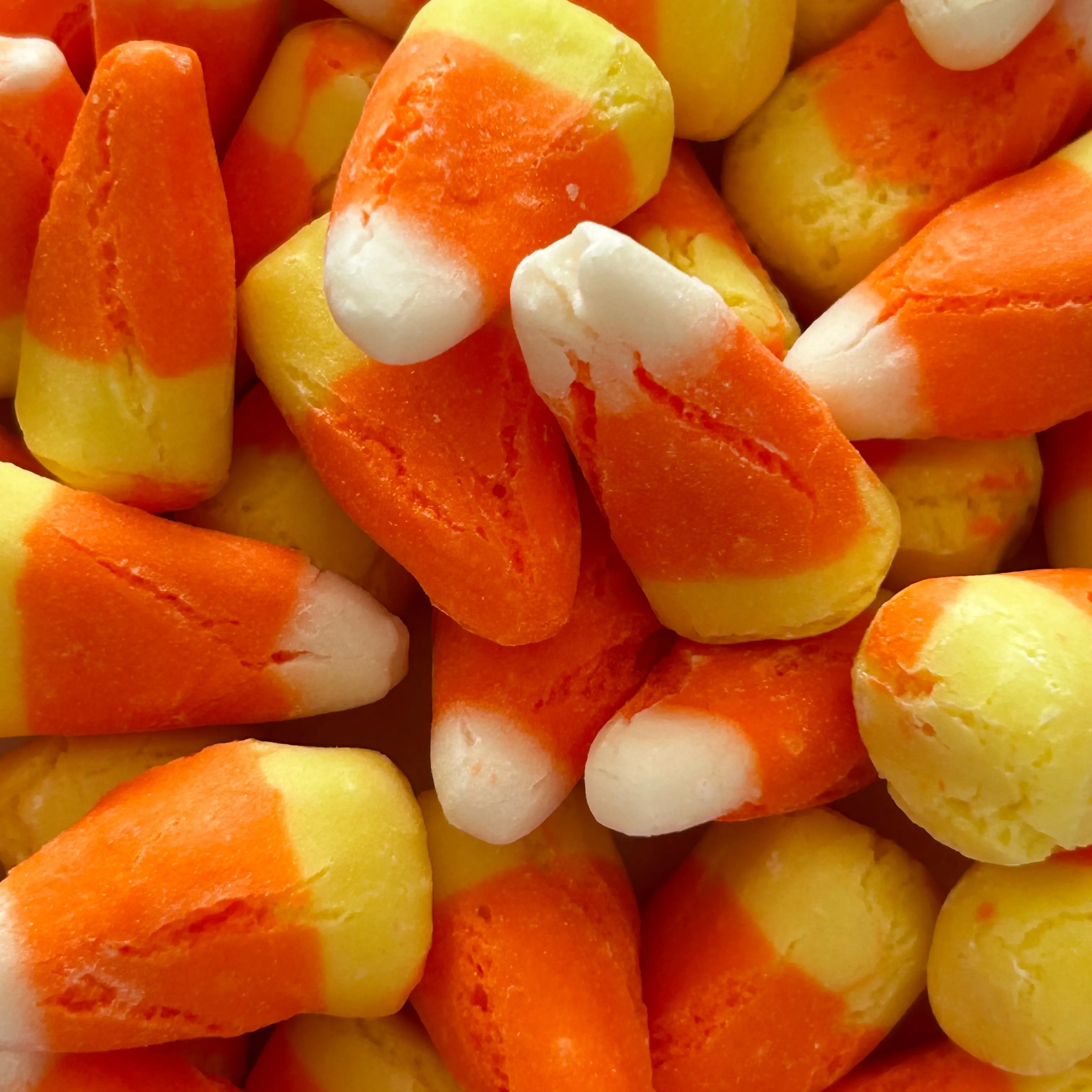 Freeze Dried Holiday Candy Corn