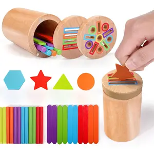 Wooden Color & Shape Sorting Toy, 1 Set Wooden Sensory Toy, Early Education Shape Sorter Toy, Educational Toy for Teenager