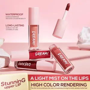 Dreamy Glossy Lip Stain Tinting & Long Lasting Moisturizing Lip Care Waterproof Non-Stick Cup Lasting Beauty 10 Options Hydrate Lipgloss Lipstick